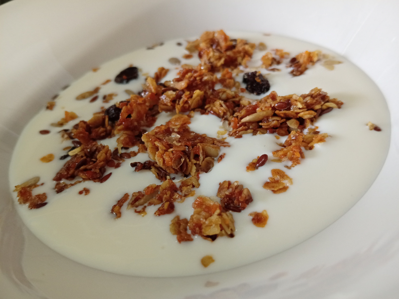 White bowl filled with smooth, creamy homemade plain yogurt topped with crunchy toasted seed granola and raisins.